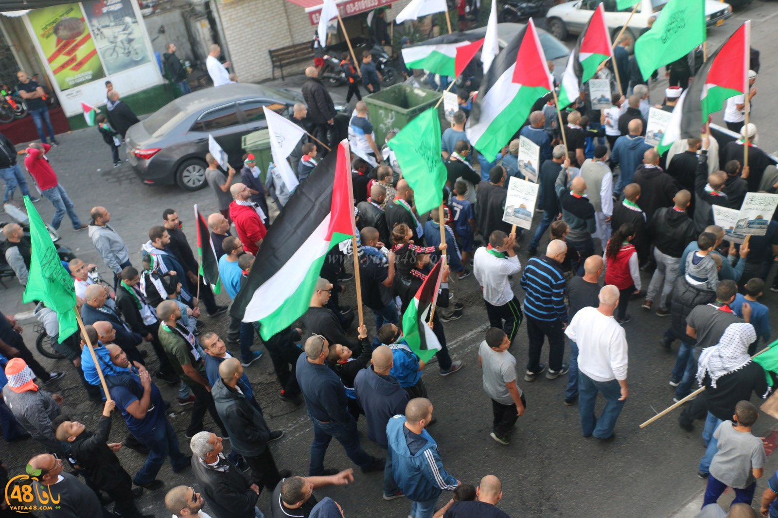 yaffa modahara jeq (83).jpg